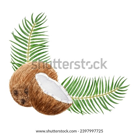 Green palm leaves and half a broken coconuts illustration. Watercolor hand drawn clip art of exotic fruit. Tropical painting for wedding invitations, spa, beauty salon prints, travel guides, menu