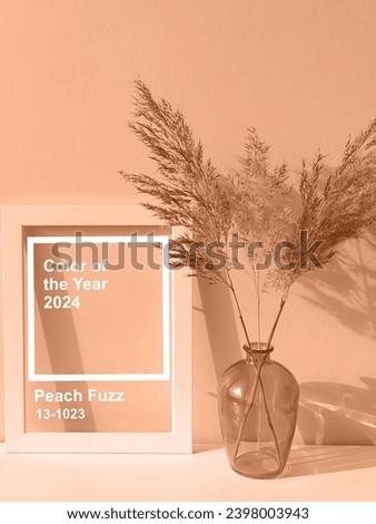 Peach fuzz is the color of the year 2024. Frame, glass vase and dry flowers toned in fashion blended pink-orange trend-setting colour of year Peach Fuzz Royalty-Free Stock Photo #2398003943