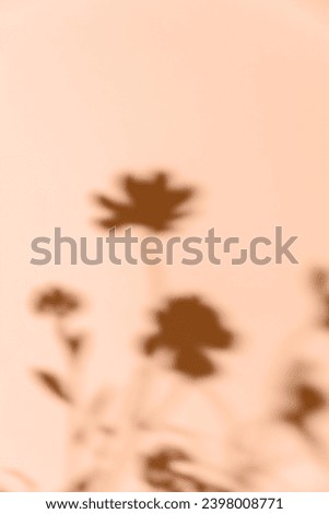 Abstract flowers shadow on a peach tone wall background. Peach fuzz pantone color of year 2024 stylish flat lay with trendy shadow and sun light. Copy space