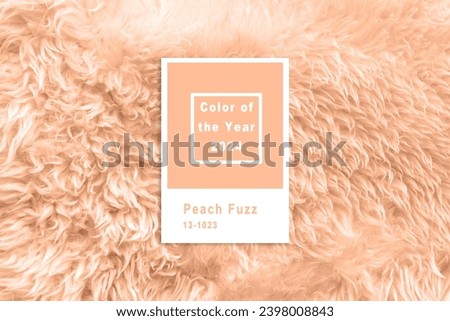 background of white wool. New trending PANTONE 13-1023 Peach Fuzz colour of 2024 year 