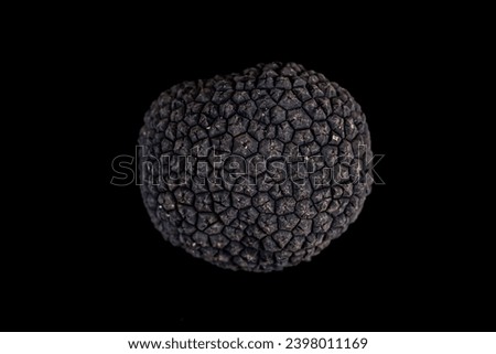 Isolated Black tubers of winter truffle on a black background
