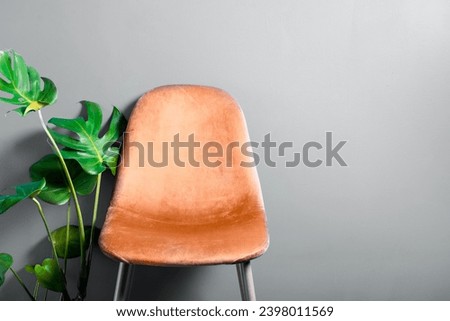 Modern Velour Chair Peach Fuzz, color of the year 2024 on wooden legs, grey background Royalty-Free Stock Photo #2398011569
