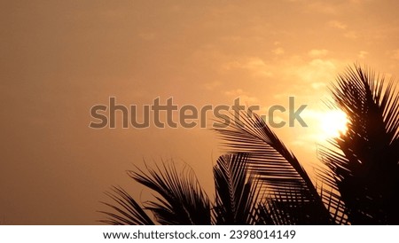 beautiful  dusky Sun and trees scenery.  Royalty-Free Stock Photo #2398014149