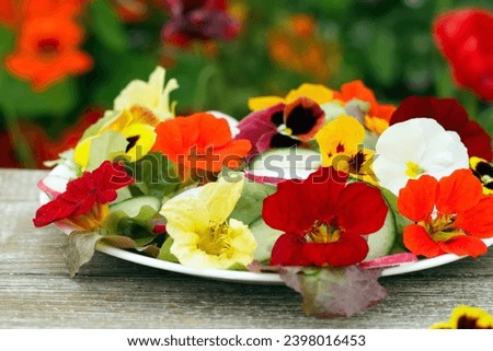 Delicious healthy vegetarian salad of lettuce, edible flowers (pansy, nasturtium), cucumber and raddish on the wooden table in the summer flower garden. Royalty-Free Stock Photo #2398016453