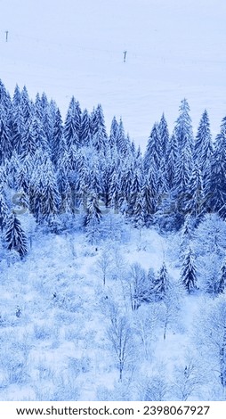 Free photo pine trees covered by snow on mountain chomiak beautiful winter landscapes of carpathian mountains ukraine majestic frost nature
