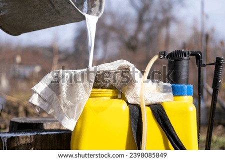 Pouring diluted Bordeaux mixture into the sprayer. Seasonal treatment of trees in the garden. Royalty-Free Stock Photo #2398085849