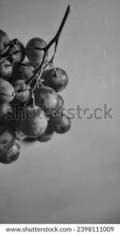 Black and white photo with an abstract photo concept for the background, Portrait a sprig of grapes or vitis vinifera.
