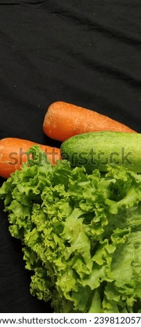 Vegetable photography - focus on object - Carrot, cucumber, green lettuce, onion