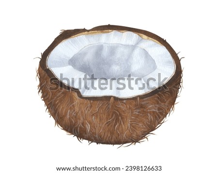Half a Coconut. Watercolor botanical illustration. Hand drawn clip art on isolated background. Pulp of a tropical exotic Fruit with organic milk inside. Sweet food drawing.
