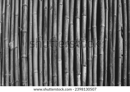 bamboo fence texture. black and white toned image  Royalty-Free Stock Photo #2398130507