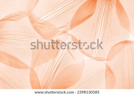 Natural macro leaves as minimal style abstract nature pattern, veins of leaf, textured foliage close up, peach fuzz trend color 2024 year monochrome background. Aesthetic nature macro trends Royalty-Free Stock Photo #2398130585