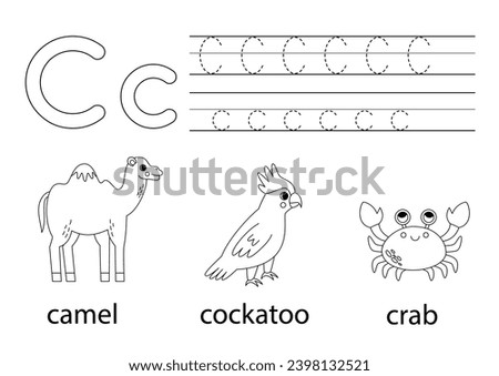 Trace uppercase and lowercase letter C. Black and white worksheet for learning alphabet. Royalty-Free Stock Photo #2398132521