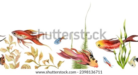 Hand drawn watercolor aquarium fish, algae and sealife. Marine exotic underwater illustration. Seamless border isolated on white background. Design for shops, brochure, print, card, wall art, textile.