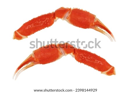 Cooked Peruvian Southern King crab leg isolated on a white background. Crab claws isolated on white background Royalty-Free Stock Photo #2398144929