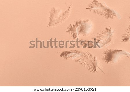 Messy white feathers on peach texture background with natural sun light shadows. Peach fuzz , trendy color of 2024 year concept, lifestyle, copy space. Royalty-Free Stock Photo #2398153921