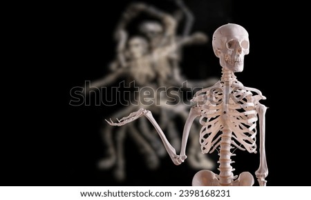 A life size skeleton inside a coffin for Halloween decoration.Human Skeleton Model with Metal Stand, Life Size Skeleton Full Body Realistic Human Bones with Po sable Joints Po sable Skeleton