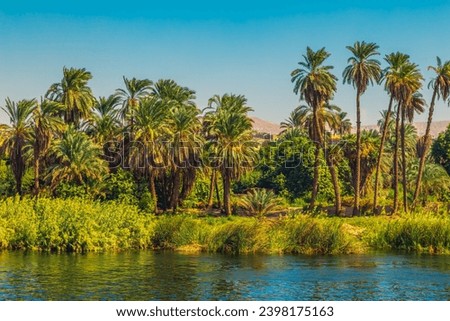 Picturesque scenery of the Nile River. Cruise on the Nile. View of the coastline.  Aswan, Egypt – October 20, 2023 Royalty-Free Stock Photo #2398175163