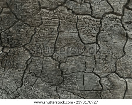The dark charred wood texture background looks elegantburnt, horizontal, panoramic, photography, shiny, simplicity, textured, damaged, destruction, fragility, woodland, close-up, color image, dry, for
