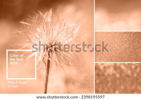 Trendy color of year 2024 - Peach Fuzz. Trendy color palette sample. Abstract floral pattern swatch colors collage. Peach Fuzz new trend Royalty-Free Stock Photo #2398195597