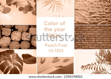 Collage with various images showing the trend color of the year 2024. Natural backgrounds, wood, brick and water surfaces. Group of beige photos 