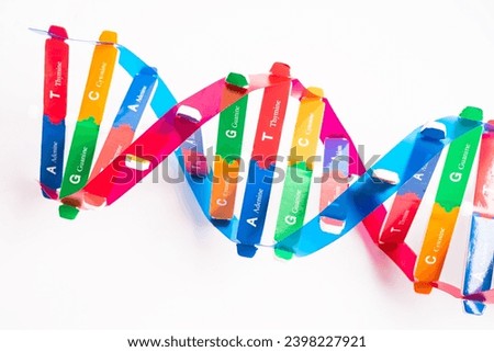 DNA or Deoxyribonucleic acid is a double helix chains structure formed by base pairs attached to a sugar phosphate backbone. Royalty-Free Stock Photo #2398227921