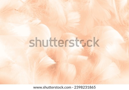 Bird feathers background toned in trending color of the year 2024 peach fuzz, tenderness and softness concept, selective focus	 Royalty-Free Stock Photo #2398231865