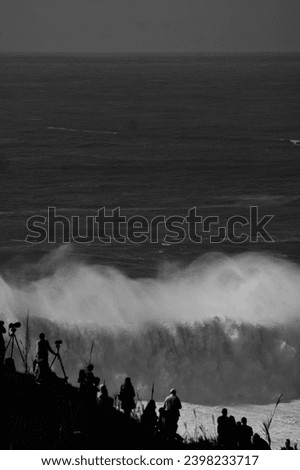 Black and white picture of surfing big waves in Nazare Portugal. A crowd of people is watching and filming on a cliff. Looks scary and impressive.                     