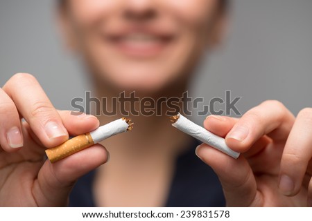 Close up portrait of young attractive woman breaking down cigarette to pieces. Studio shot selective focus isolated on grey. Addiction concept Royalty-Free Stock Photo #239831578