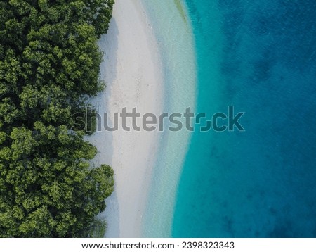 Top down aerial view from a combination of a long white sand beach with bright blue sea and green coconut trees, mangroves and ketapang trees on the beach. Beautiful background concept. Nice wallpaper Royalty-Free Stock Photo #2398323343