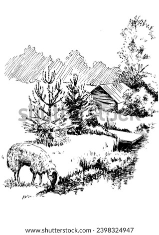 Rural scenery. Meadow, alkali, lye, grassland, pommel, lea, pasturage, farm. Vector sketch illustration Royalty-Free Stock Photo #2398324947
