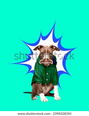 Serious look. Purebred dog in green clothes with male mouth sitting and seriously looking against green background. Contemporary artwork. Concept of meme, animals, emotions, surrealism, inspiration