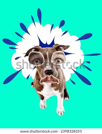 Shocked and sad look. Purebred dog with male eyes and mouth over green background. Contemporary art collage. Concept of fun, meme, animals, emotions, surrealism, inspiration