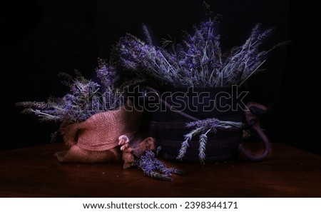 the lavender harvest, photography made with the light painting technique