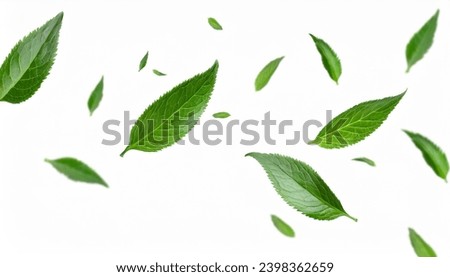 Green Floating Leaves Flying Leaves Green Leaf Dancing, Air Purifier Atmosphere Simple Main Picture Royalty-Free Stock Photo #2398362659