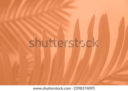 Shadow leaf dypsis on Peach Fuzz color wall. Peach Fuzz Pantone color of the year 2024. Monochrome background.