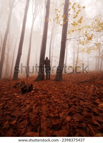 fantasy autumn morning in foggy forest with man silhouette