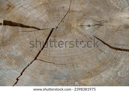 Wood rings the texture of old weathered wood with a cross section of a sawn log, showing concentric annual growth rings as an even natural background and the concept of forestry conservation