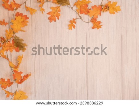 Fall Background Wallpaper Autumn Leaves