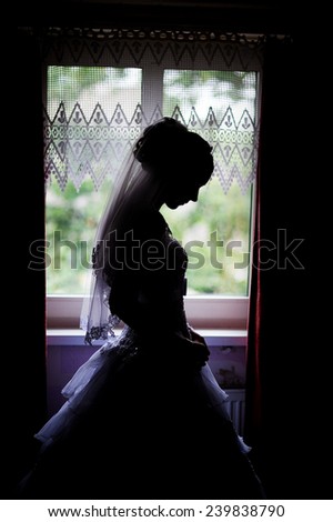 silhouette of a bride at the window.