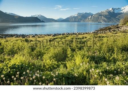 Summer Splendor in Haines, Alaska: Capturing Nature's Beauty, Chilkoot Inlet, bay Royalty-Free Stock Photo #2398399873