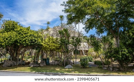 fฺull of Botanical garden of Museum King Rama IX Royal Park Bangkok Thailand South East Asia