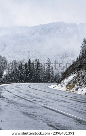 view of icy winter road with low morning fog over forest of northwestern United States with green coniferous trees in Washington state North Cascade Mountains