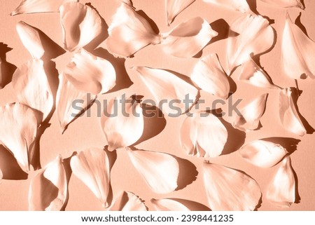 Rose petals on a solid background. Flat lay, close-up. Peach fuzz is color of year 2024.
