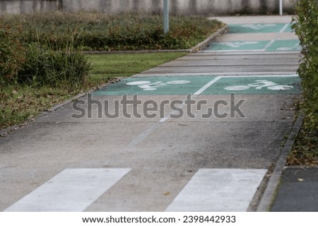 Road with zebra, bicycle path signs and tramway rails.