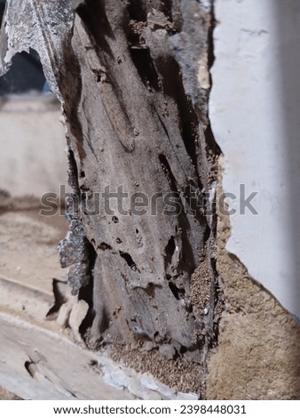 This is a photo of a house window that has been eaten by termites