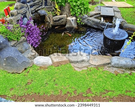 beautifully arranged fish pond ever seen