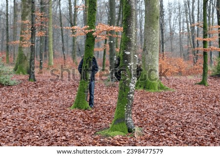 Exterior photo view of a myterious man hidding behind a tree trunk in a humid forest during winter with all the dead oak tree leaves on the ground during the day light