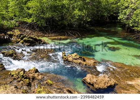 River in Natural travel place Thapom Klong Song Nam, Krabi, Thailand Royalty-Free Stock Photo #2398482459