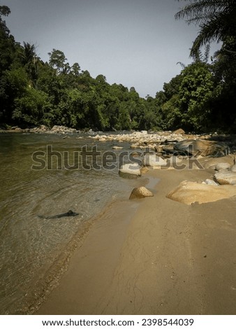 a picture of a river with sand and rocks and trees on both sides
