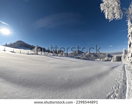 Winter wonderland snow covered environment 